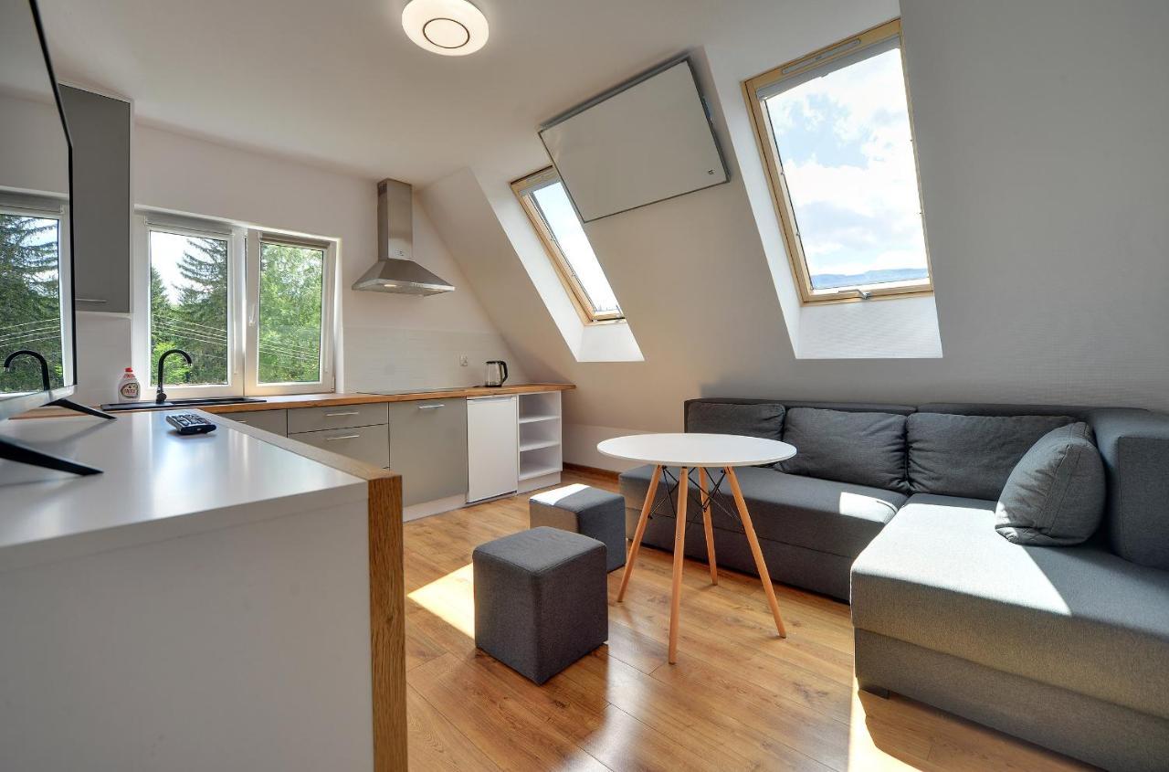 Mega Widok Apartment Szklarska Poręba Exterior foto