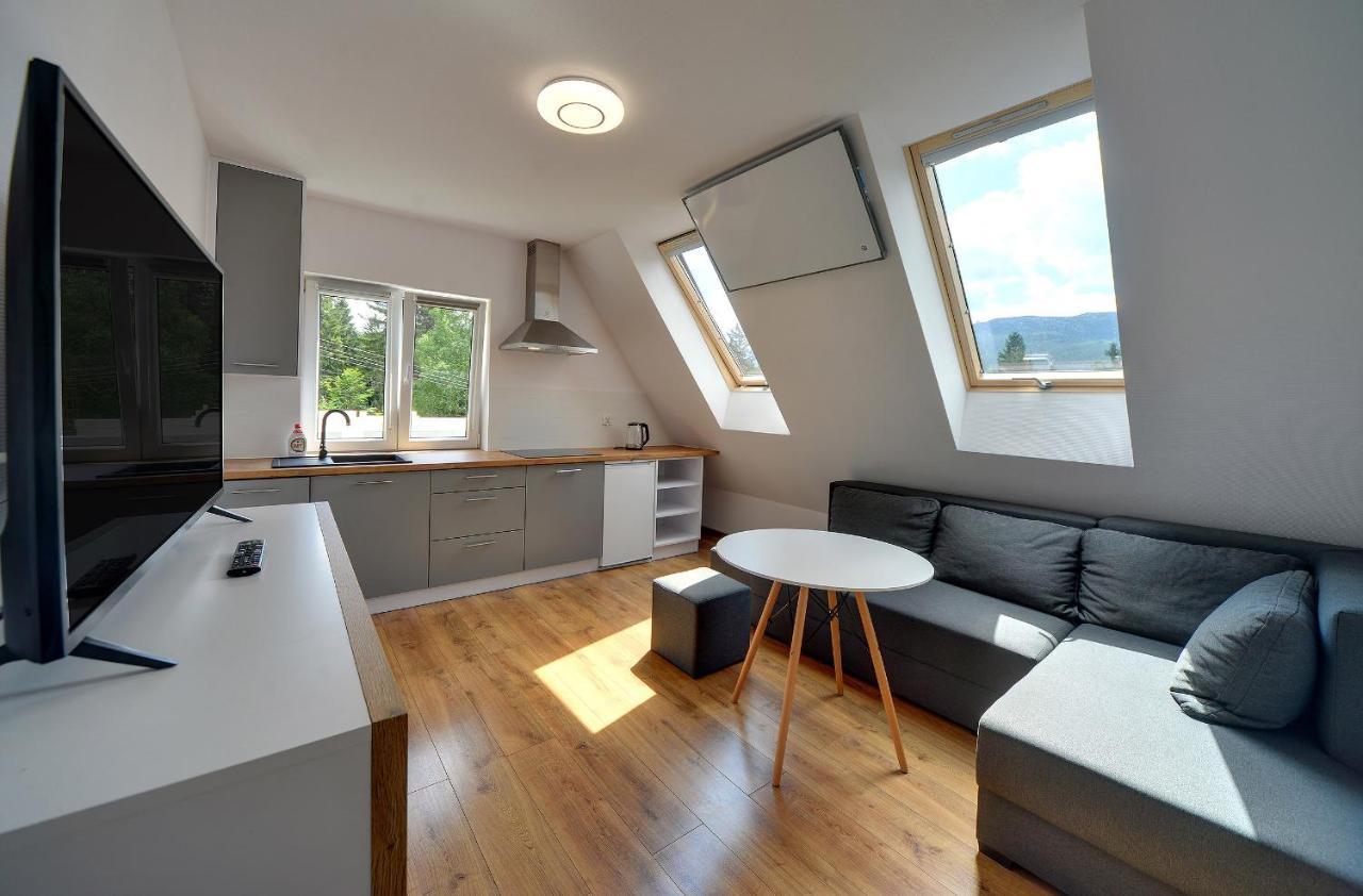 Mega Widok Apartment Szklarska Poręba Exterior foto