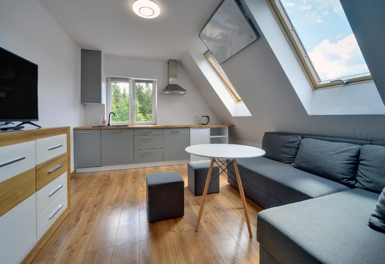Mega Widok Apartment Szklarska Poręba Exterior foto